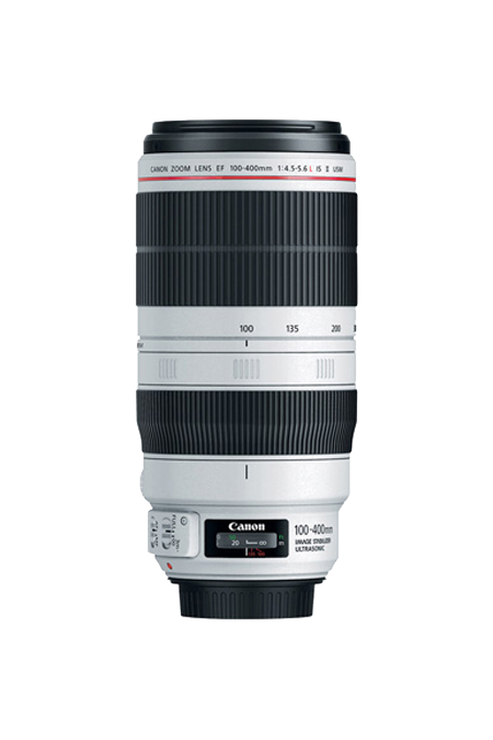 Cannon lens EF 100-400mm