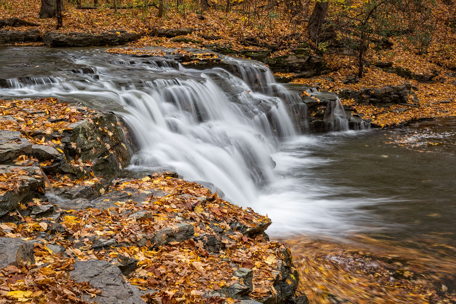 great gully falls