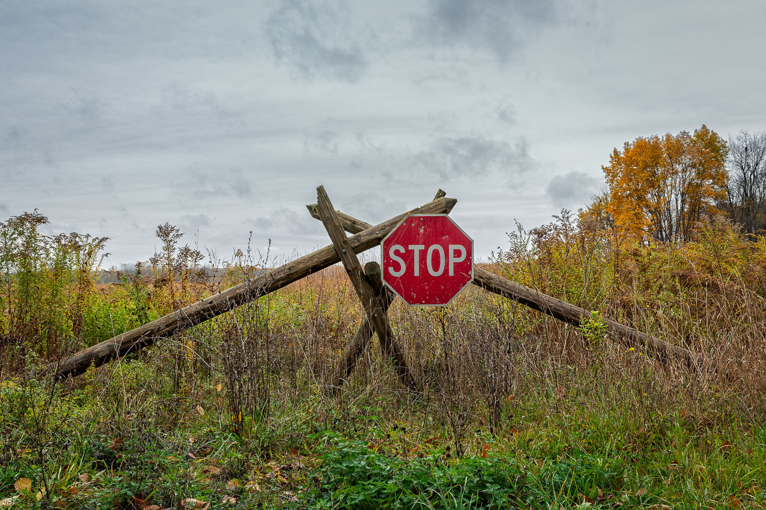 random stop sign that doesnt make sense